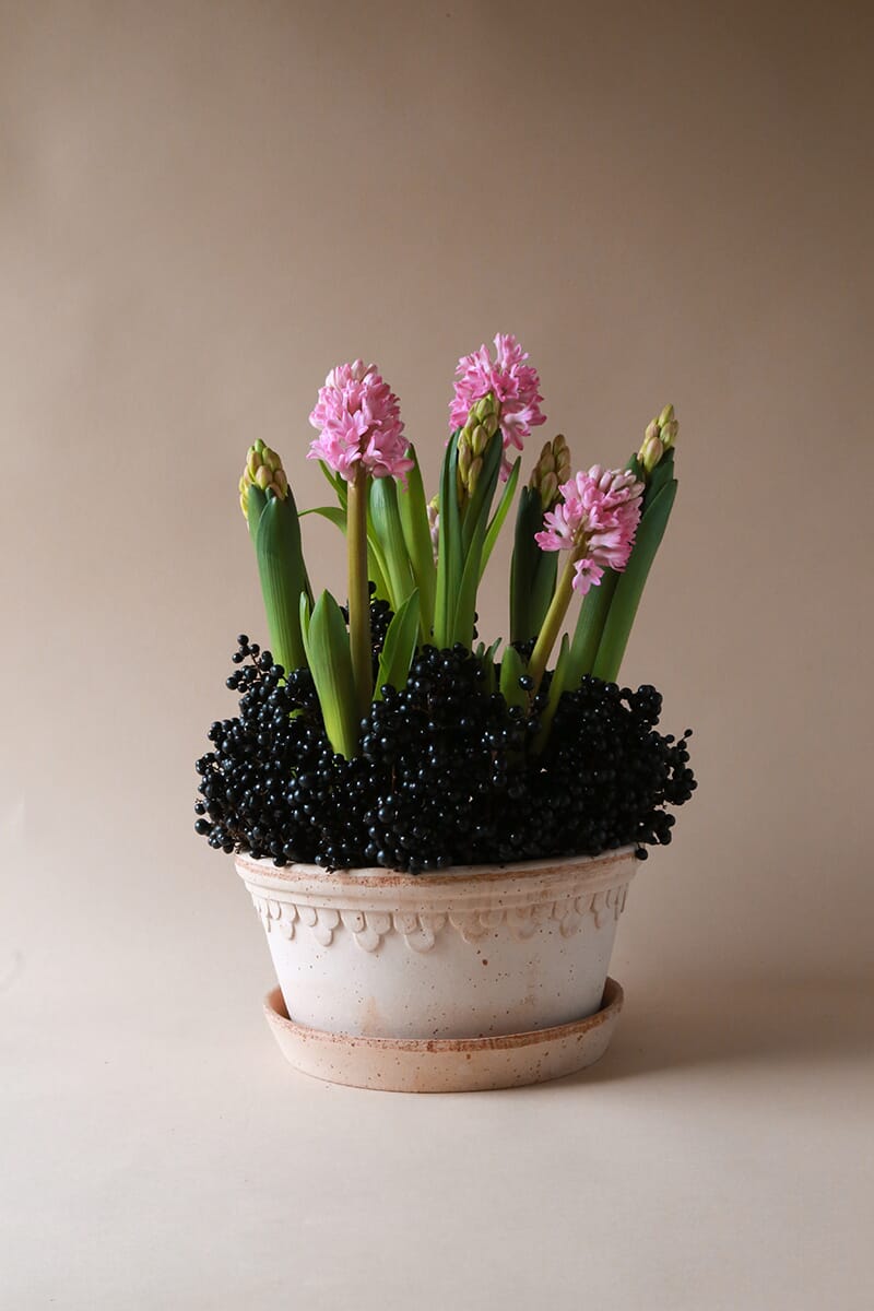 Københavner Krukke Rose LAV 25 cm - Bilde 3