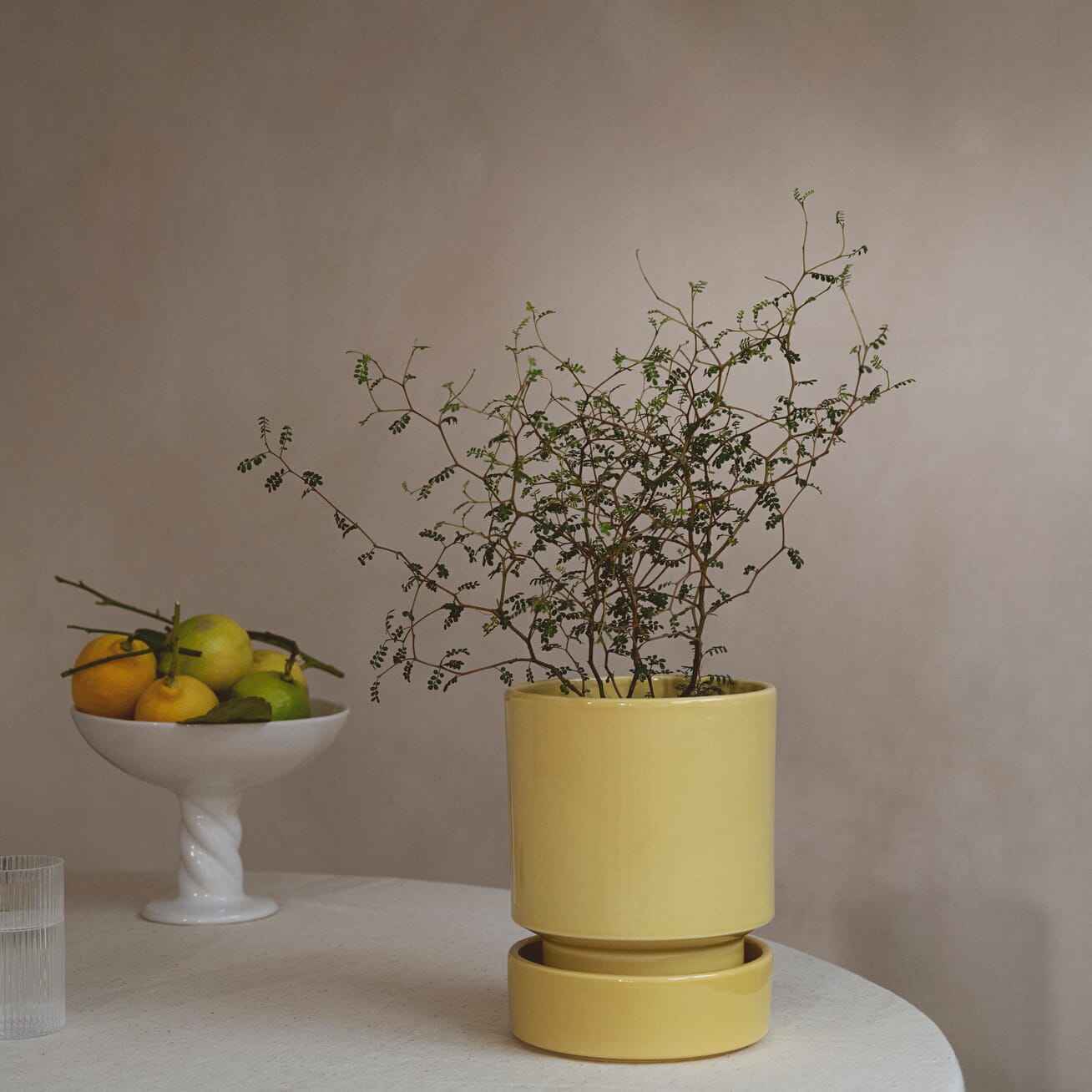 Hoff Potte Yellow/Yellow 14x17 - Hovedbilde