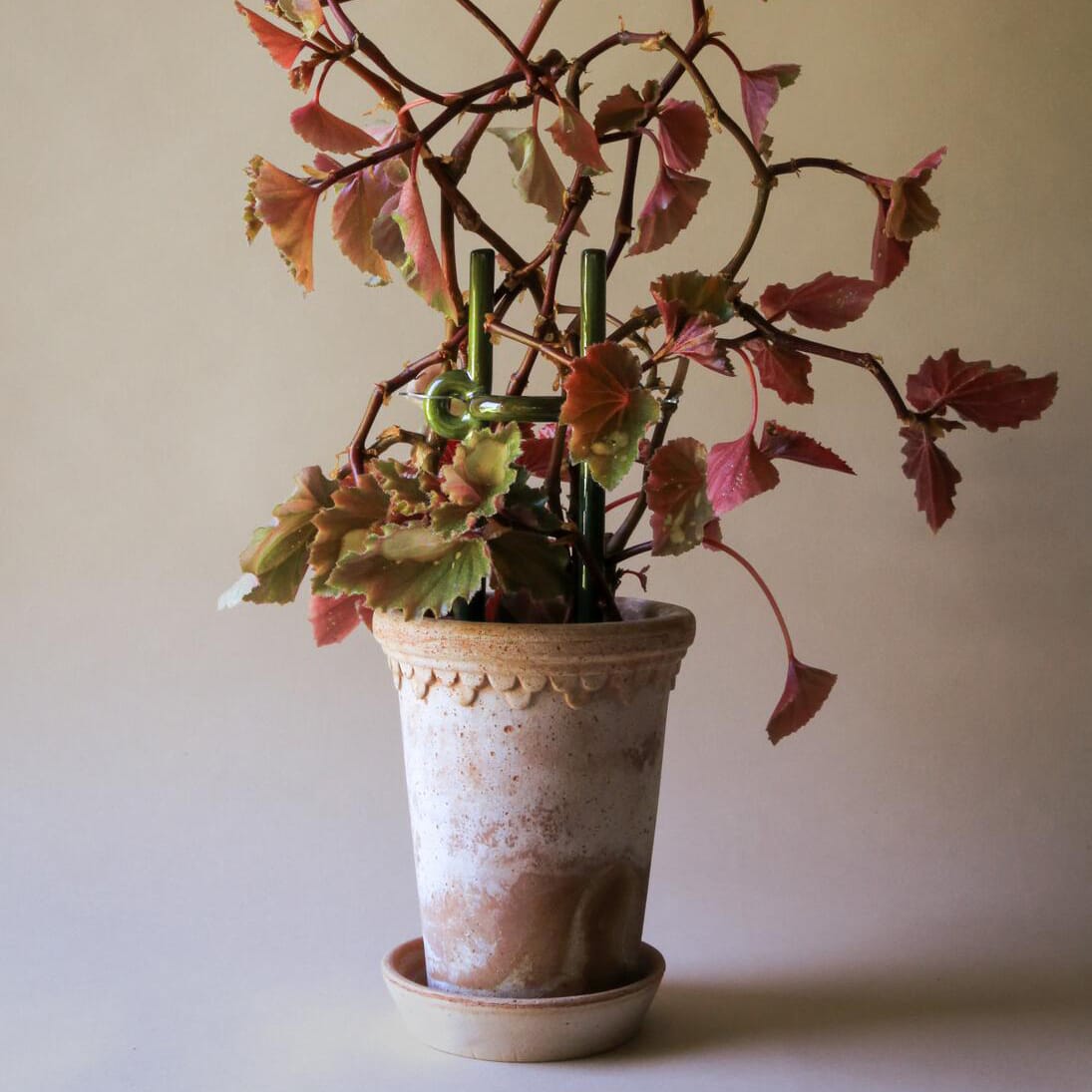 Plantepinne Folk Hinto: Moss Green - Hovedbilde