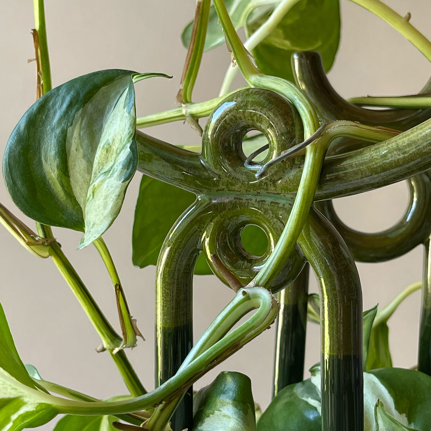 Plantepinne Folk Yuma: Moss Green - Bilde 2