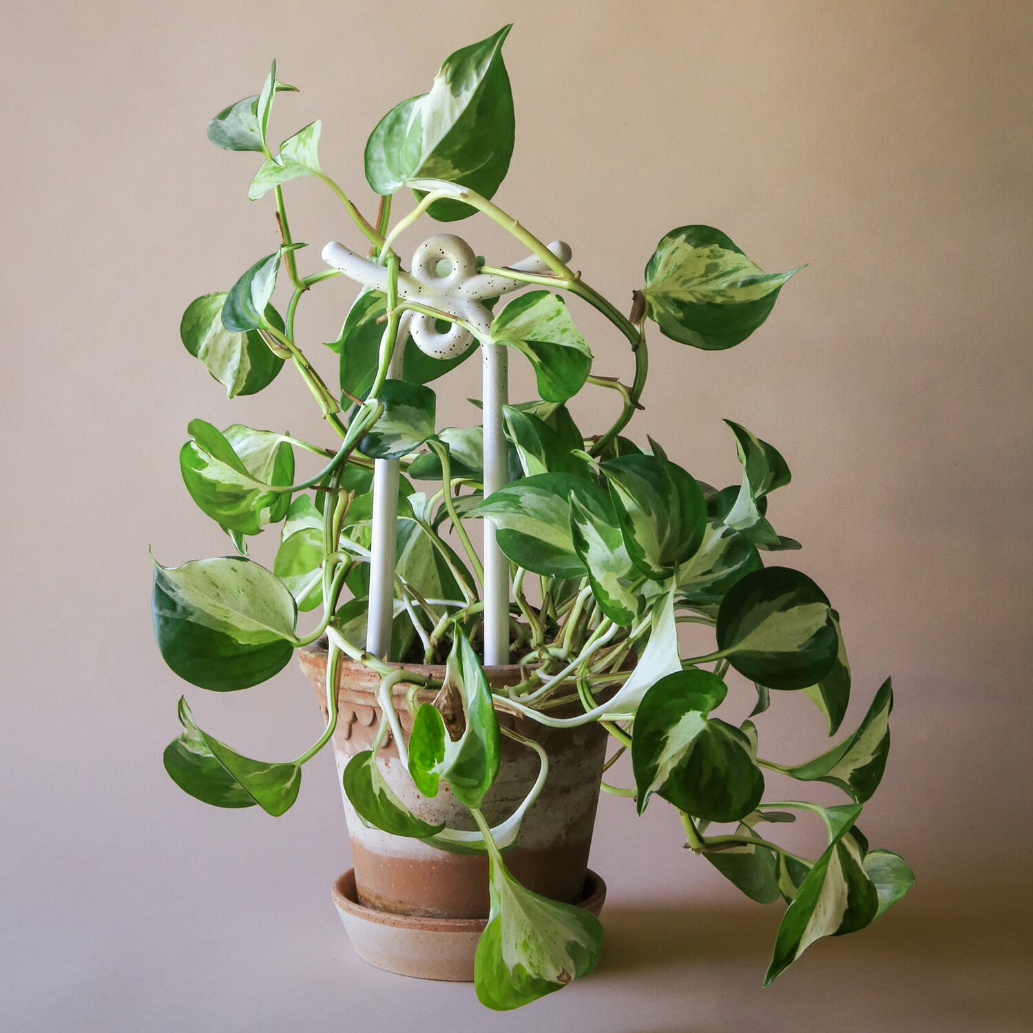 Plantepinne Folk Yuma: Pebble White - Hovedbilde