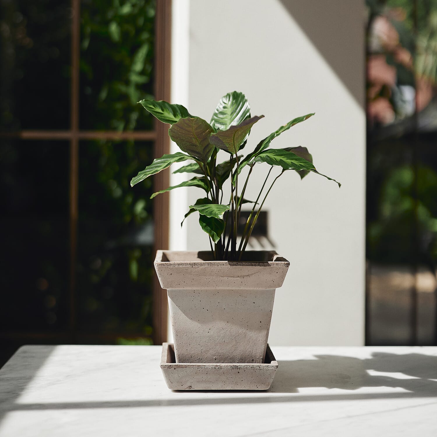 Gaia Raw Grey Ø21 - Hovedbilde