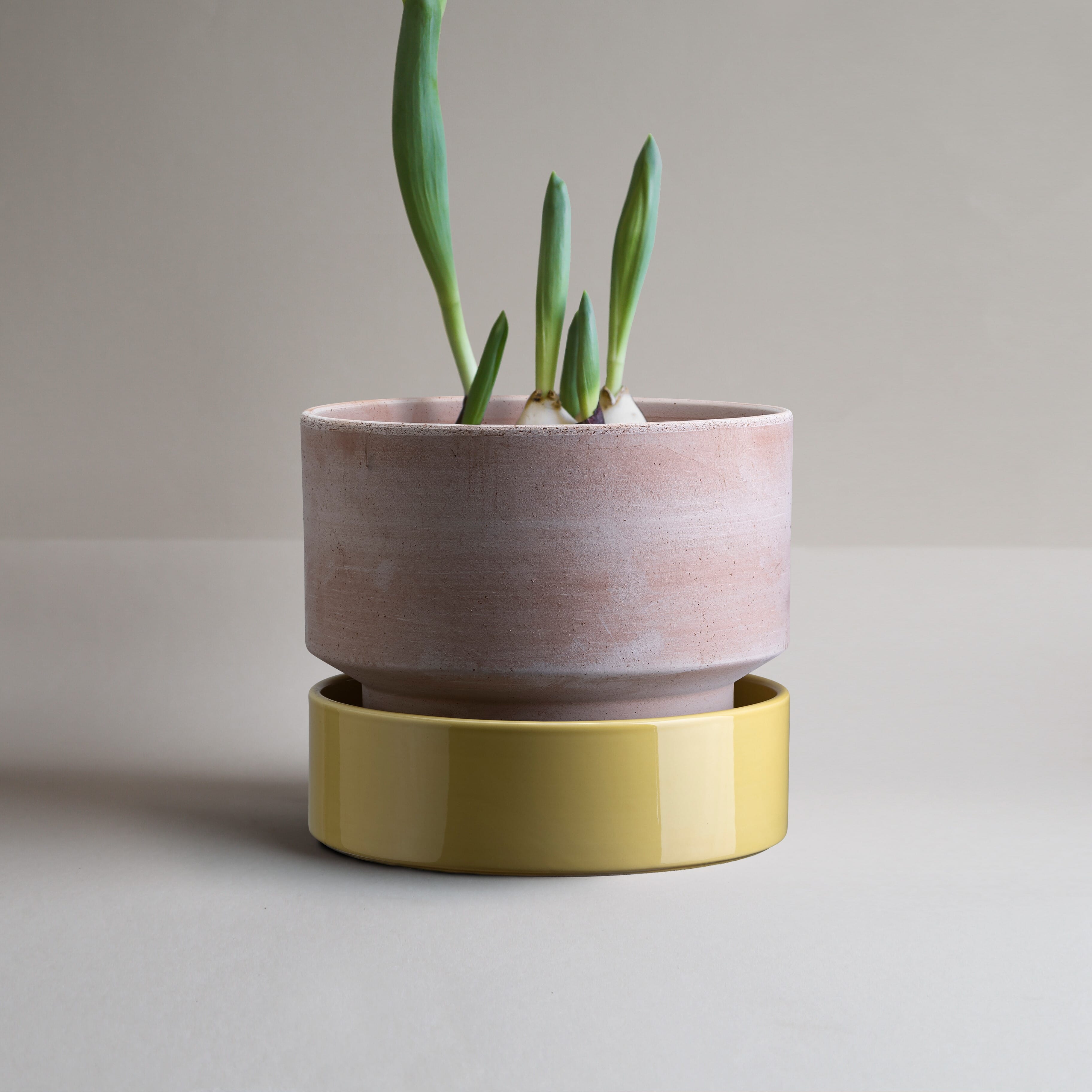 Hoff Potte Rose/Yellow 30x25 - Hovedbilde