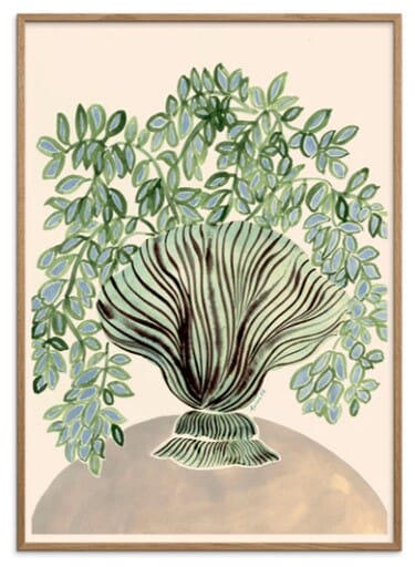 Poster Shell Vase 50x70 - Hovedbilde