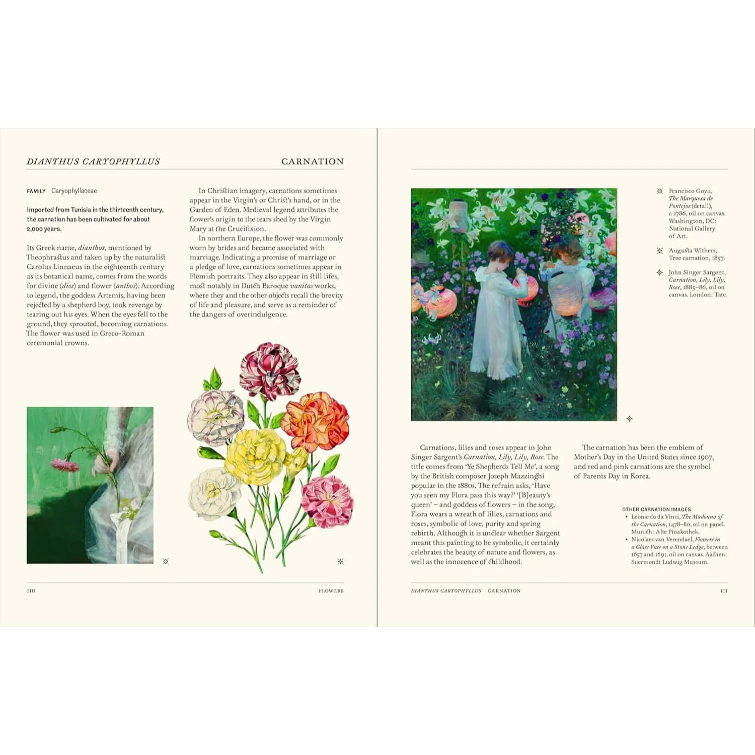 Boken The Secret Language of Plants, Art, Nature & Symbolism