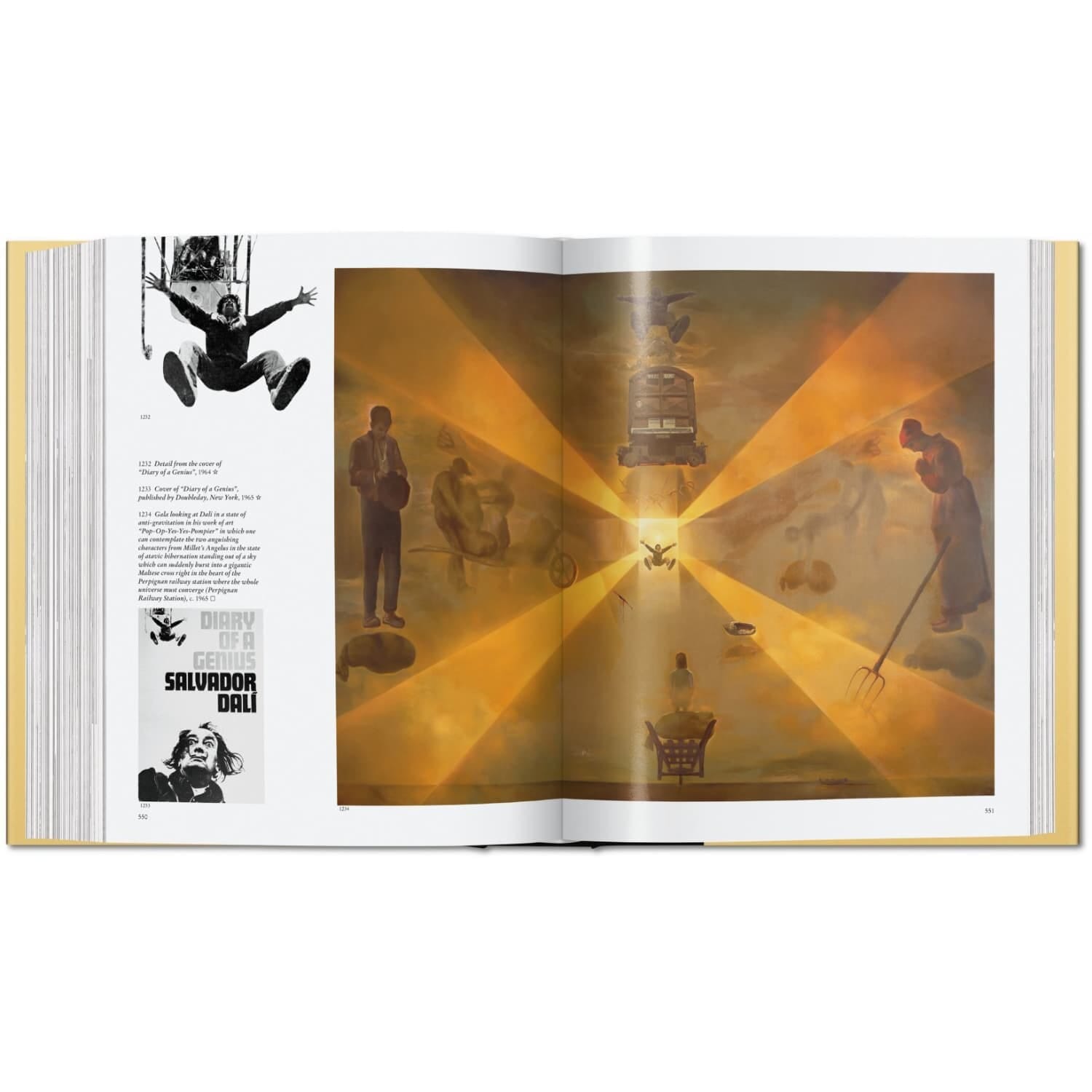 Dalí. The Paintings - Bilde 4