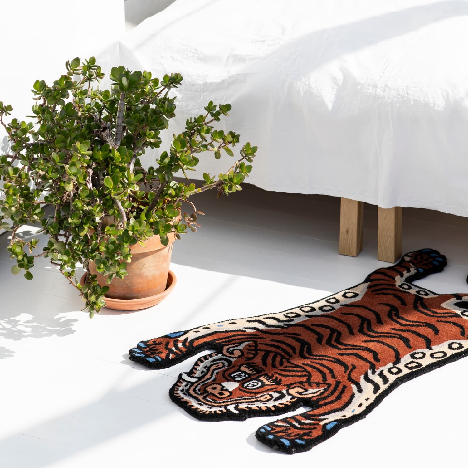 Frankie Tiger Teppe Small - Hovedbilde