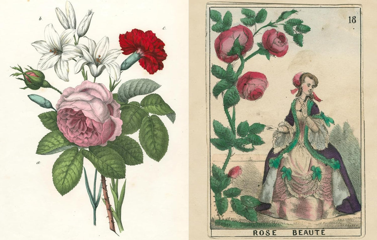 Boken: John Derian Picture Book II