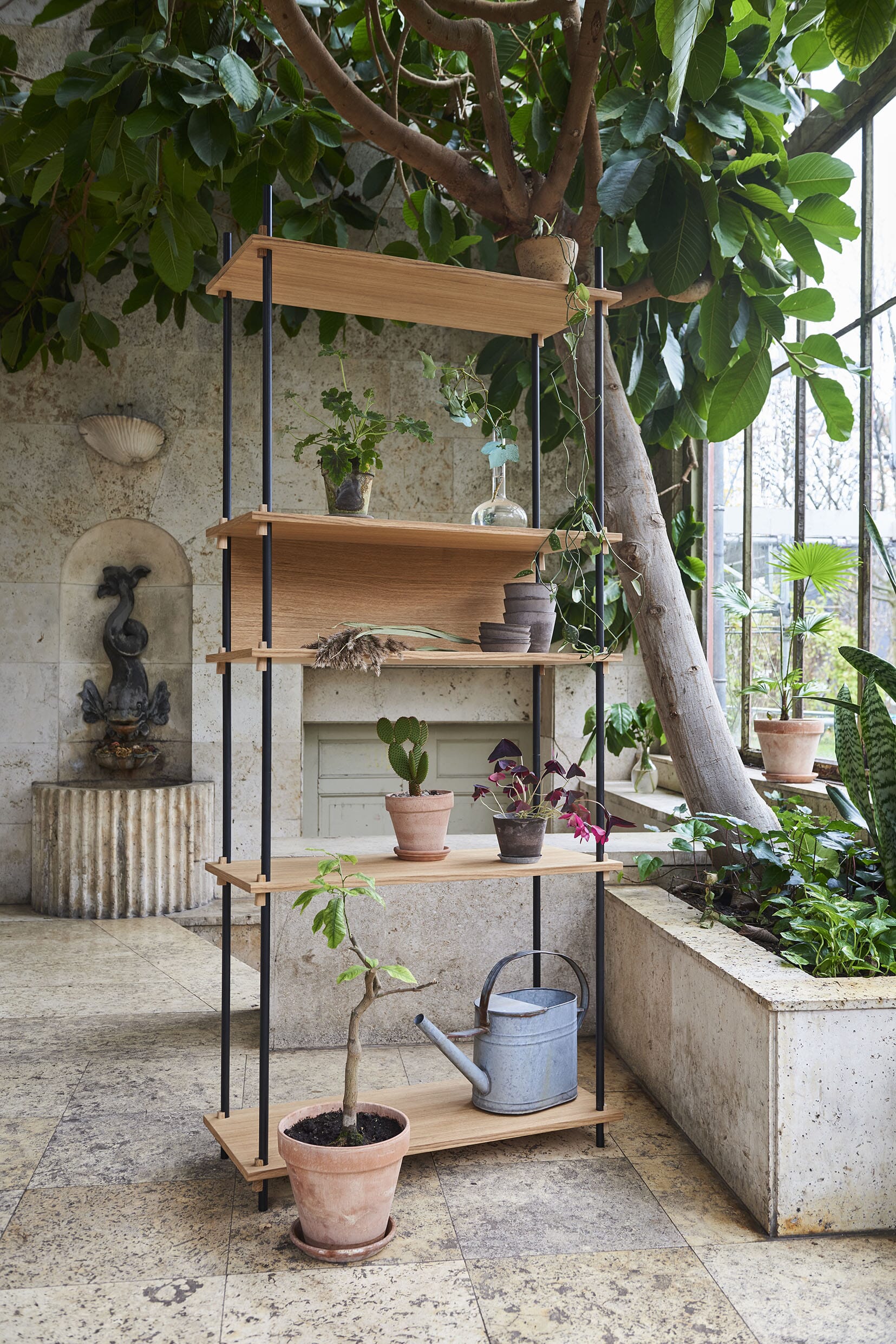 Tall Single - Bilde 2