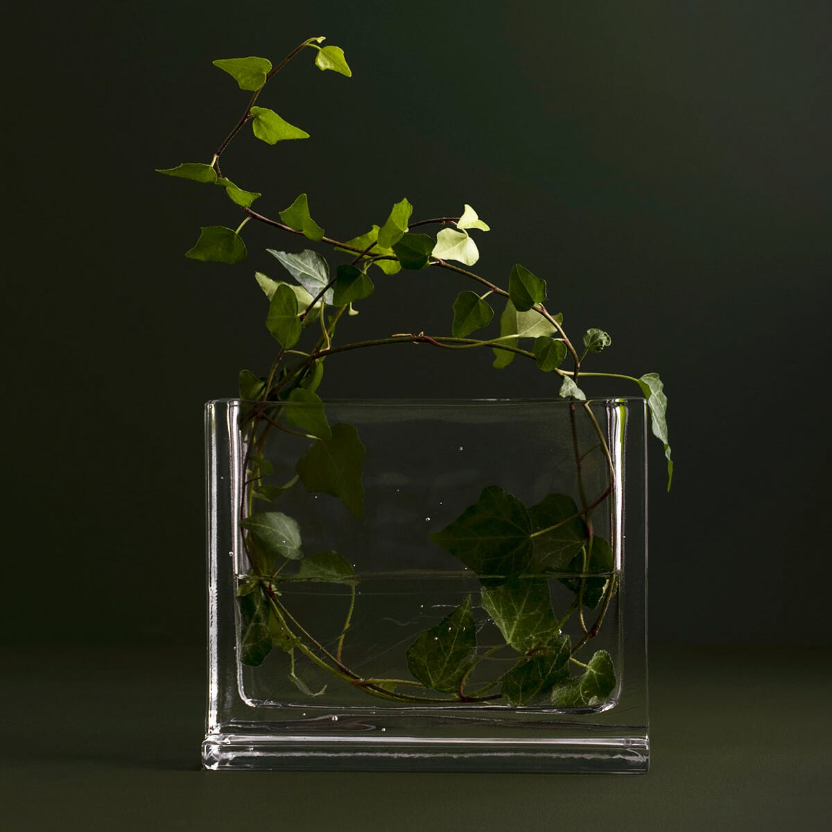 Skulpturell Monoblokk blomstervase i silikatglass med Eføy