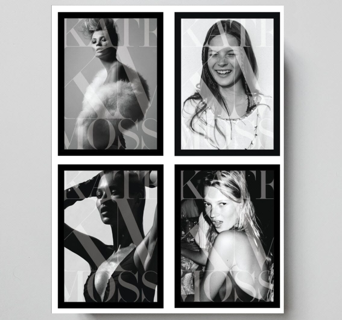 Boken Kate Moss - Hovedbilde