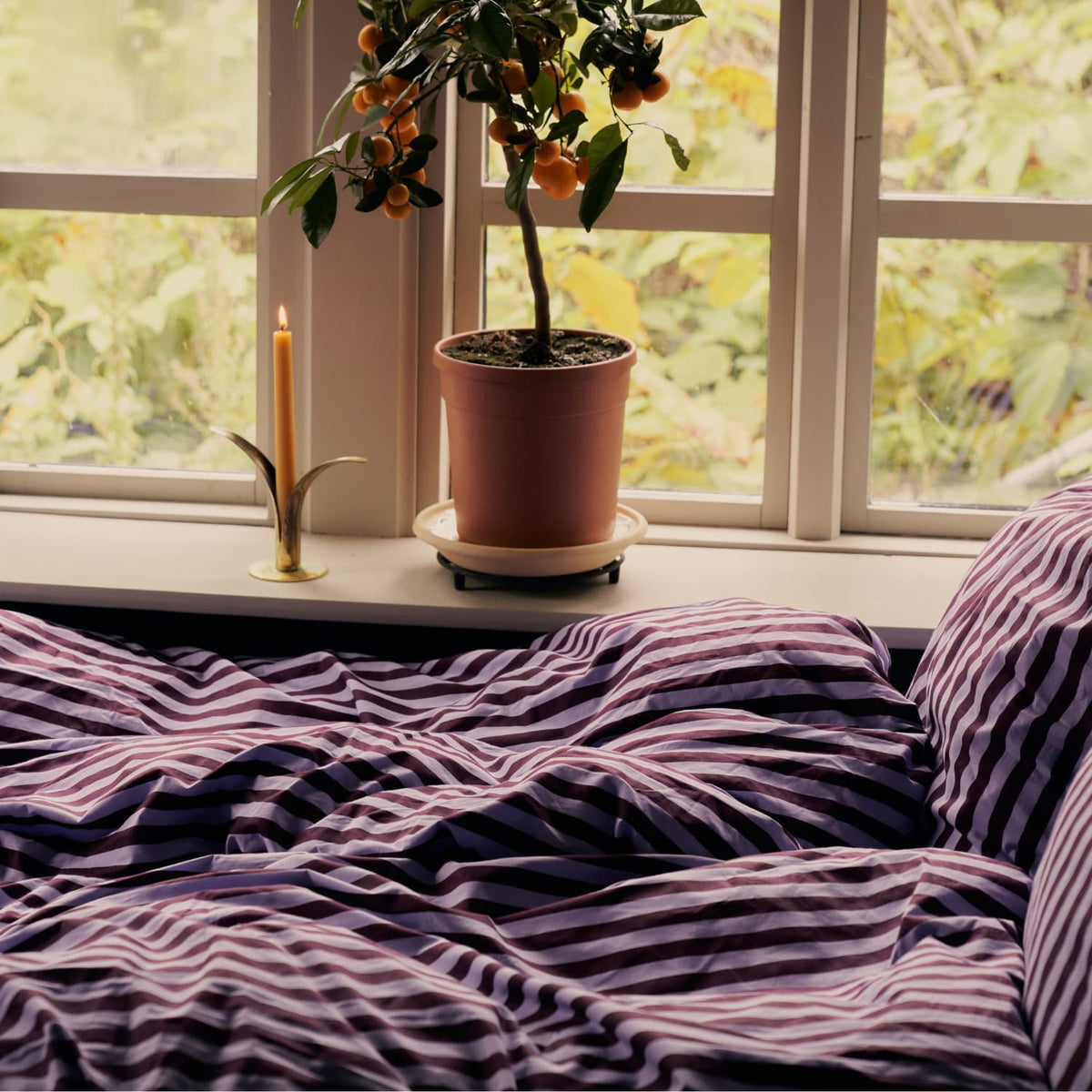 Sengesett Percale Wine & Lavender Blue