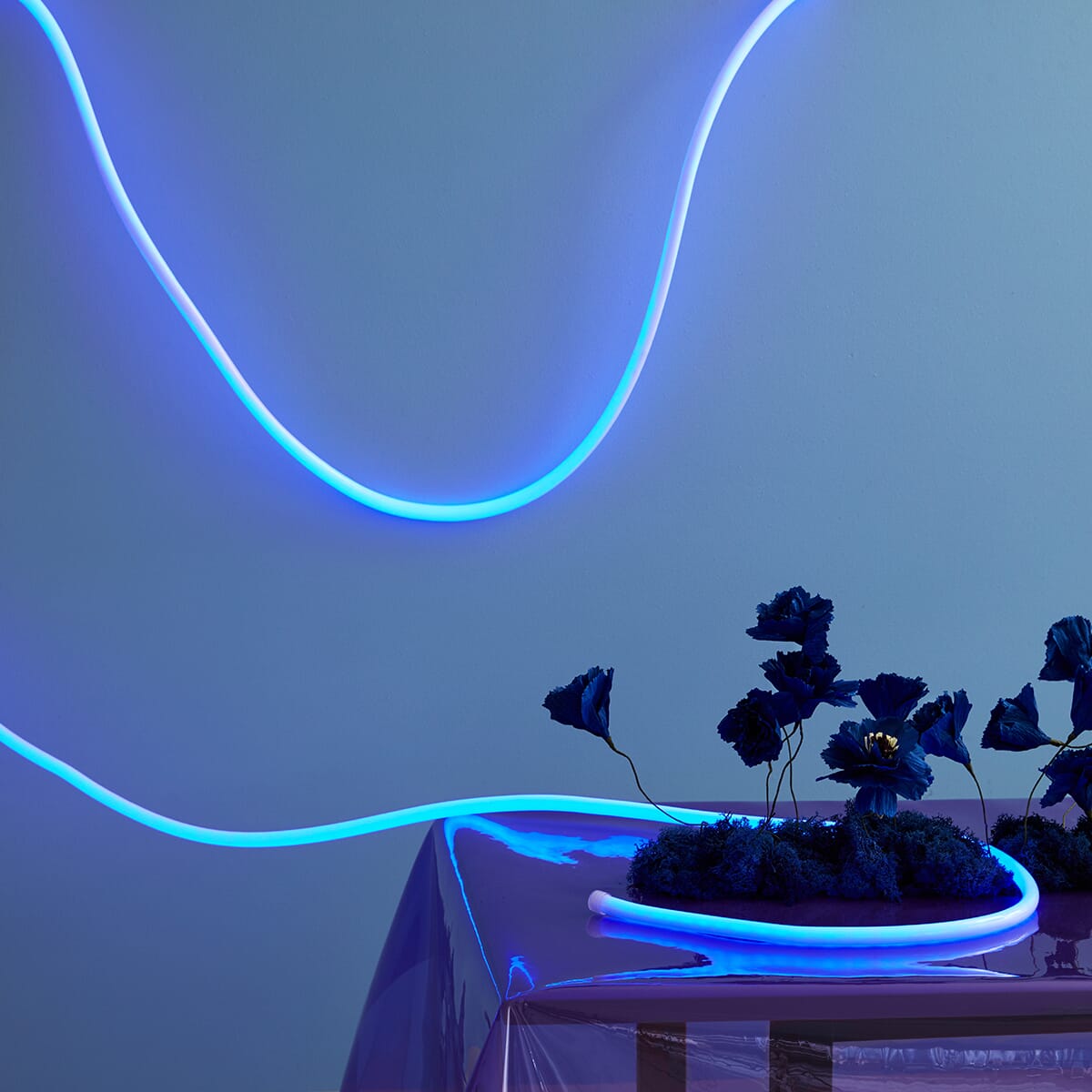 Flex Tube Lampe Blå 5 meter - Hovedbilde