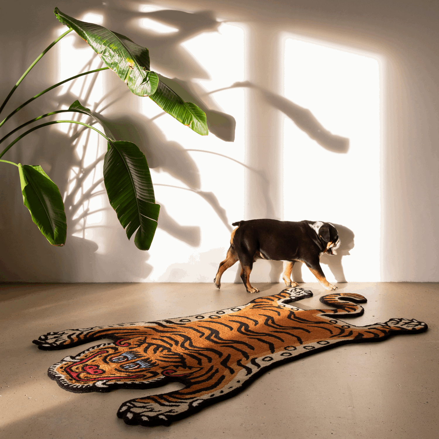 Tiger Gulvteppe 115x90cm - Bilde 3