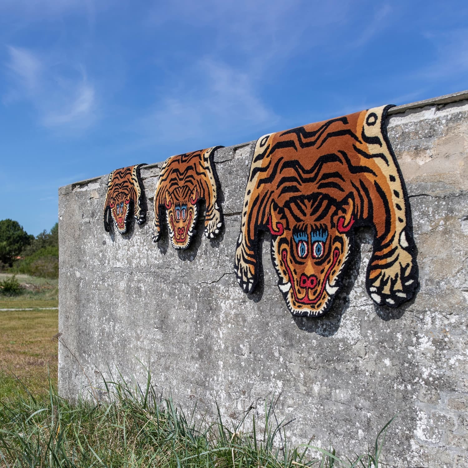 Tiger Gulvteppe 70x125cm - Bilde 7