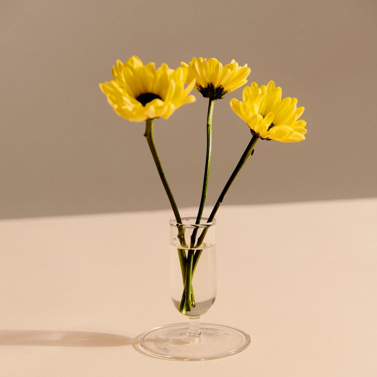 Tiny Vase - Hovedbilde