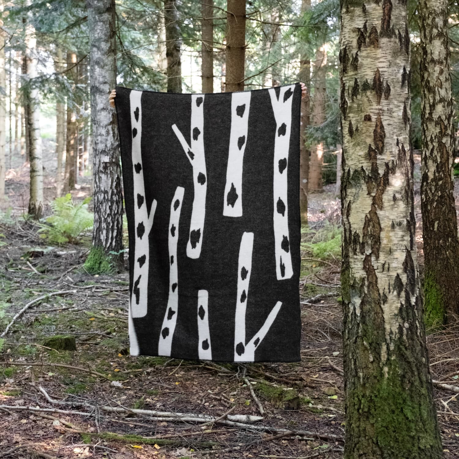 Ullpledd Birch 130x180