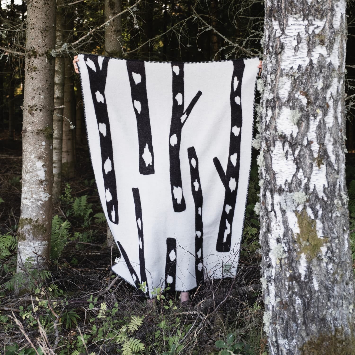 Ullpledd Birch 130x180