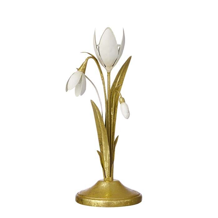 Lysestake Golden Tulip - Hovedbilde