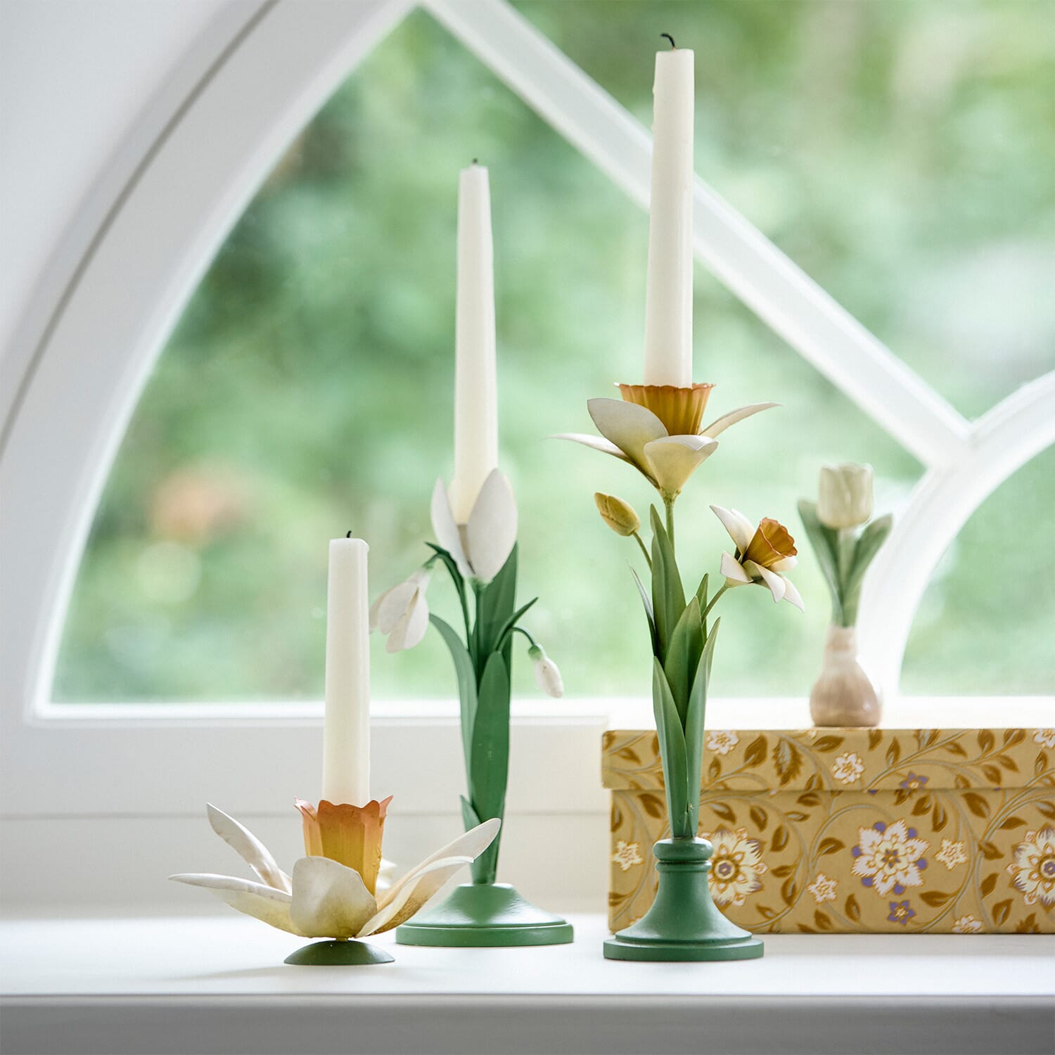 Lysestake Snowdrop Ivy - Bilde 2