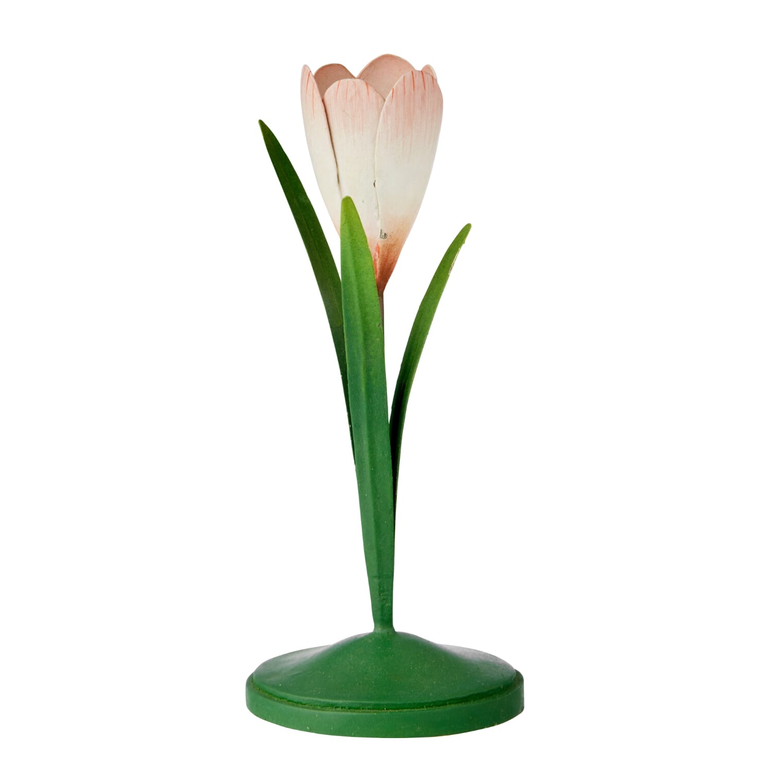 Lysestake Crocus Powder - Hovedbilde