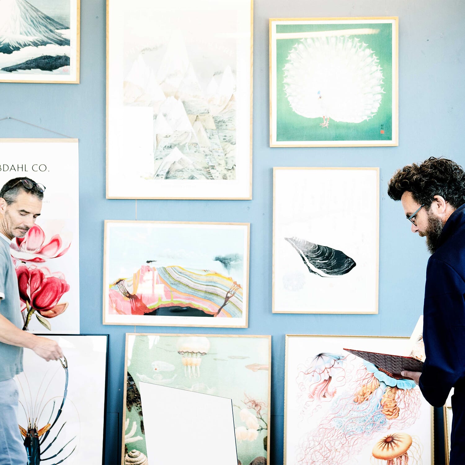 Bilde Blotched Bigeye Head - Bilde 2