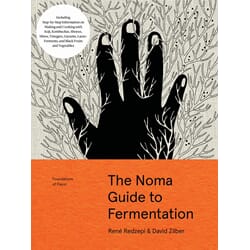 Boken The Noma Guide to Fermation