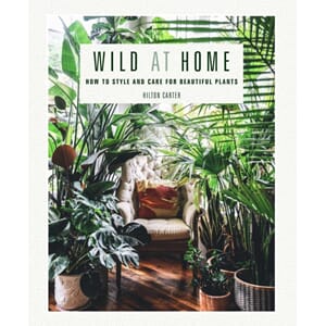 Boken Wild at Home