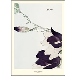 Poster Purple Magnolia 50x70